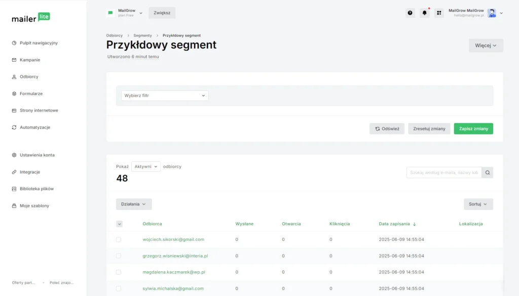 segmentacja kontaktów w mailerlite interfejs